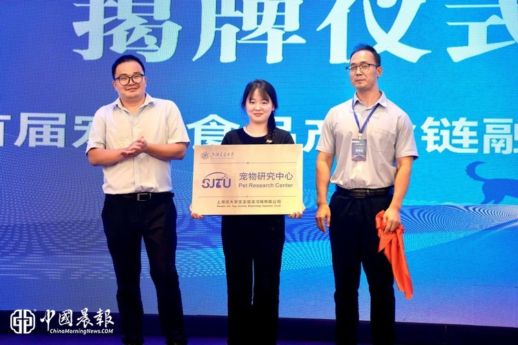 黄金城集团详情图