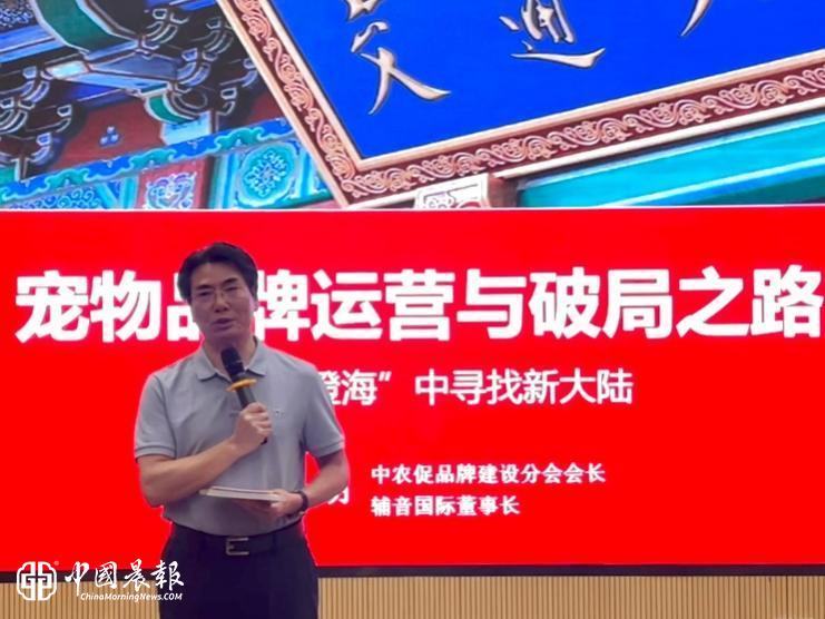 黄金城集团详情图
